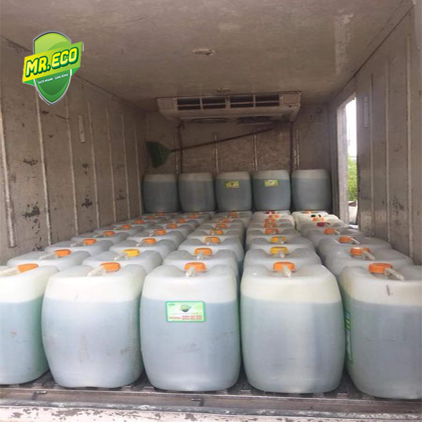 Mua nước rửa chén can 20 lít giá rẻ-Ecoxanh